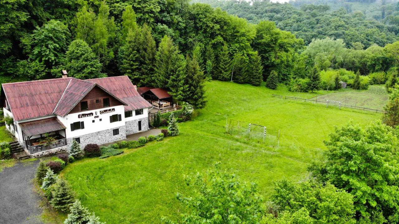 Pensiunea Poiana Cerbului Sighişoara Exterior foto